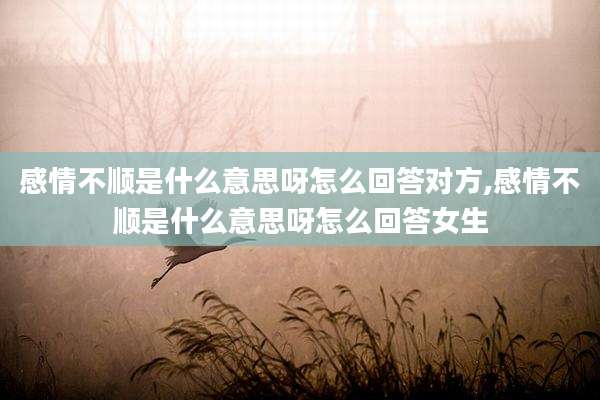 感情不顺是什么意思呀怎么回答对方,感情不顺是什么意思呀怎么回答女生