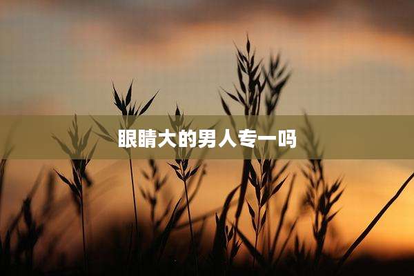 眼睛大的男人专一吗