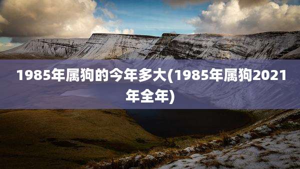 1985年属狗的今年多大(1985年属狗2021年全年)