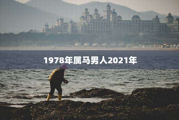 1978年属马男人2021年