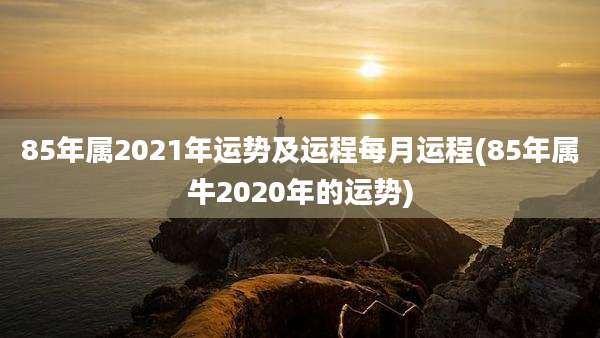 85年属2021年运势及运程每月运程(85年属牛2020年的运势)