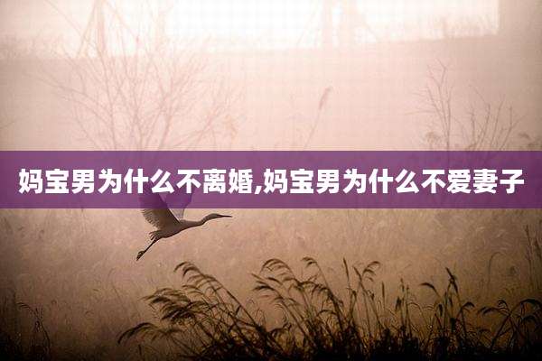 妈宝男为什么不离婚,妈宝男为什么不爱妻子