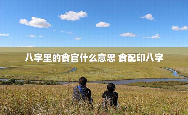 八字里的食官什么意思 食配印八字