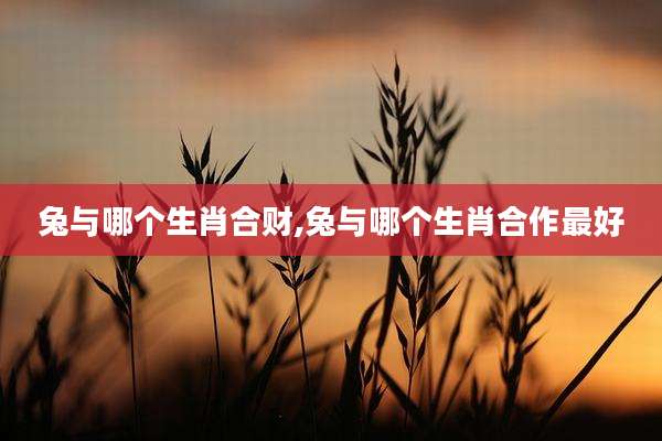 兔与哪个生肖合财,兔与哪个生肖合作最好
