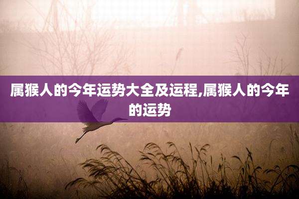 属猴人的今年运势大全及运程,属猴人的今年的运势