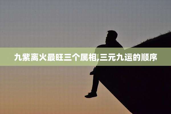 九紫离火最旺三个属相,三元九运的顺序