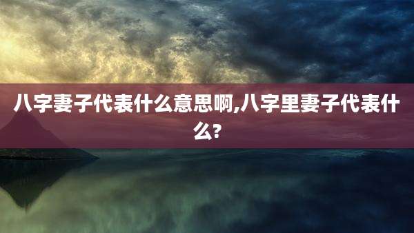 八字妻子代表什么意思啊,八字里妻子代表什么?