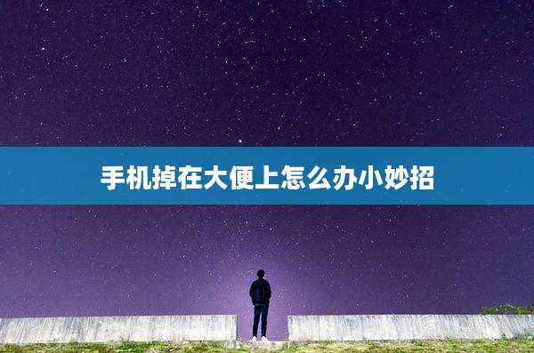 手机掉在大便上怎么办小妙招