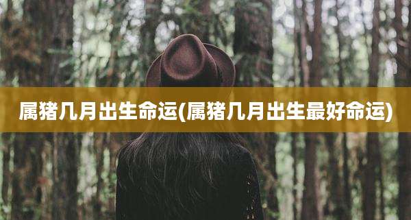 属猪几月出生命运(属猪几月出生最好命运)