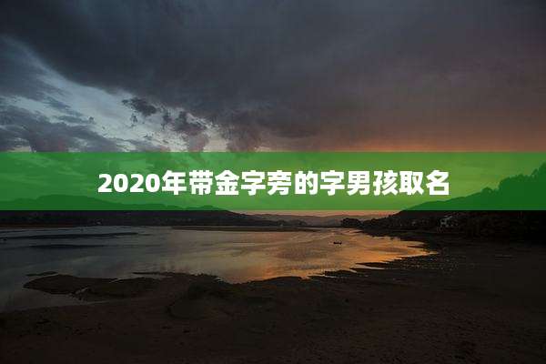 2020年带金字旁的字男孩取名
