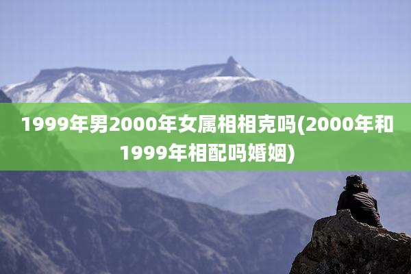 1999年男2000年女属相相克吗(2000年和1999年相配吗婚姻)