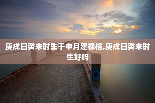 庚戌日癸未时生于申月建禄格,庚戌日癸未时生好吗
