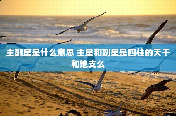 主副星是什么意思 主星和副星是四柱的天干和地支么