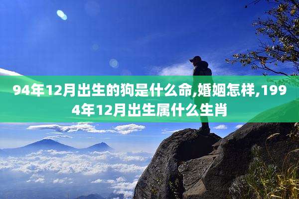 94年12月出生的狗是什么命,婚姻怎样,1994年12月出生属什么生肖