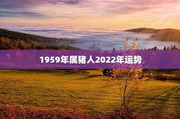 1959年属猪人2022年运势
