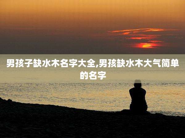 男孩子缺水木名字大全,男孩缺水木大气简单的名字