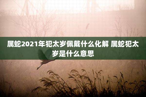 属蛇2021年犯太岁佩戴什么化解 属蛇犯太岁是什么意思