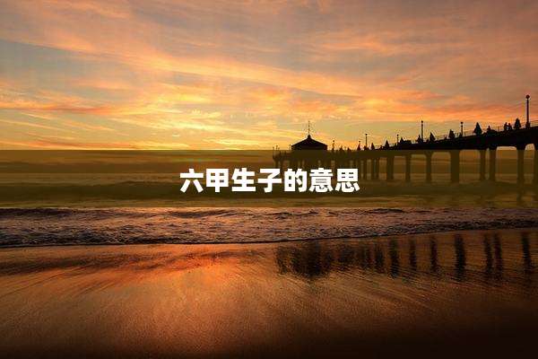 六甲生子的意思