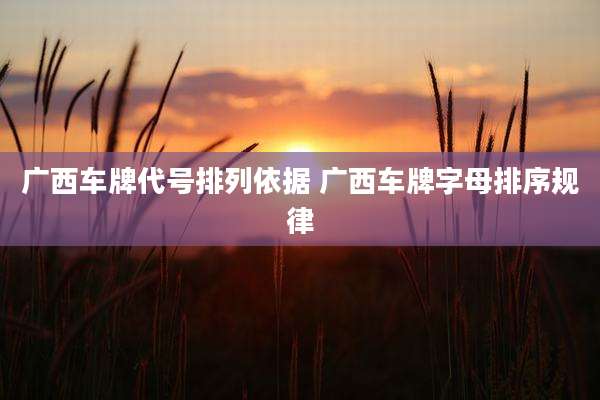 广西车牌代号排列依据 广西车牌字母排序规律