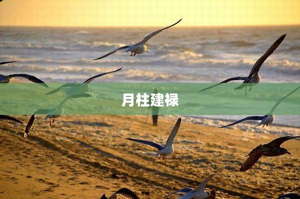 月柱建禄