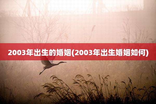 2003年出生的婚姻(2003年出生婚姻如何)