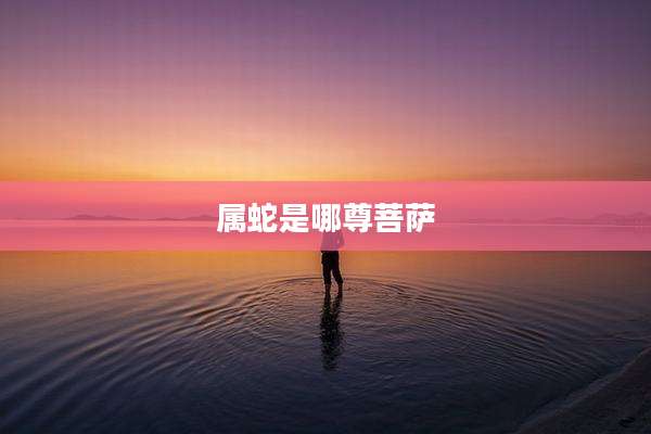 属蛇是哪尊菩萨
