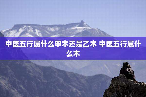 中医五行属什么甲木还是乙木 中医五行属什么木