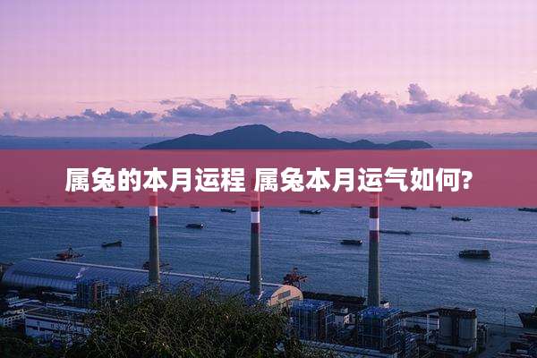 属兔的本月运程 属兔本月运气如何?