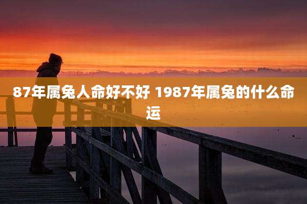 87年属兔人命好不好 1987年属兔的什么命运