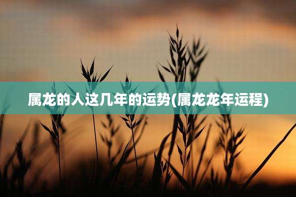 属龙的人这几年的运势(属龙龙年运程)
