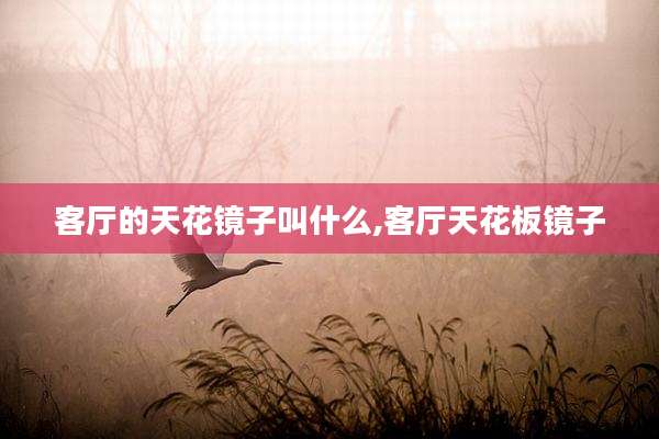 客厅的天花镜子叫什么,客厅天花板镜子