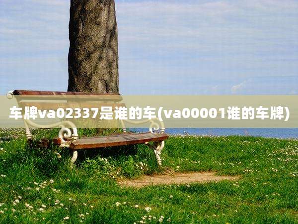 车牌va02337是谁的车(va00001谁的车牌)