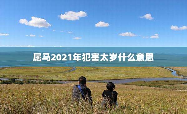 属马2021年犯害太岁什么意思