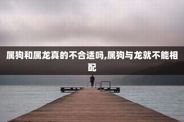 属狗和属龙真的不合适吗,属狗与龙就不能相配