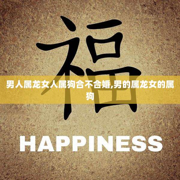 男人属龙女人属狗合不合婚,男的属龙女的属狗