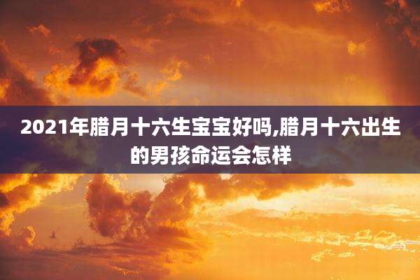 2021年腊月十六生宝宝好吗,腊月十六出生的男孩命运会怎样