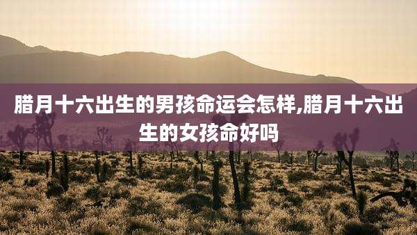 腊月十六出生的男孩命运会怎样,腊月十六出生的女孩命好吗