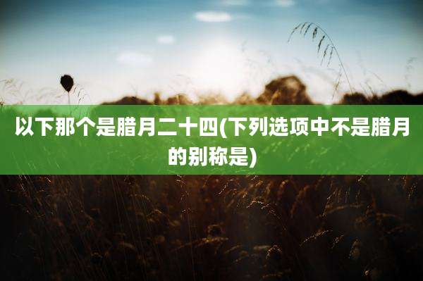 以下那个是腊月二十四(下列选项中不是腊月的别称是)