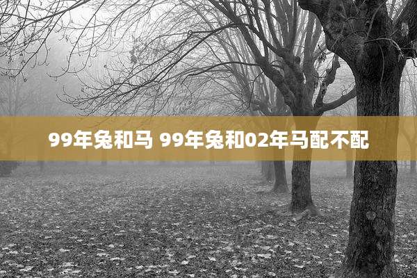 99年兔和马 99年兔和02年马配不配