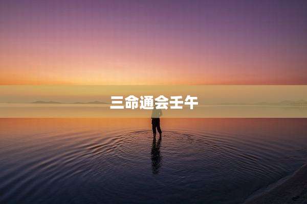 三命通会壬午