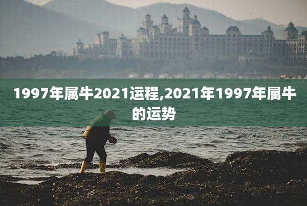 1997年属牛2021运程,2021年1997年属牛的运势