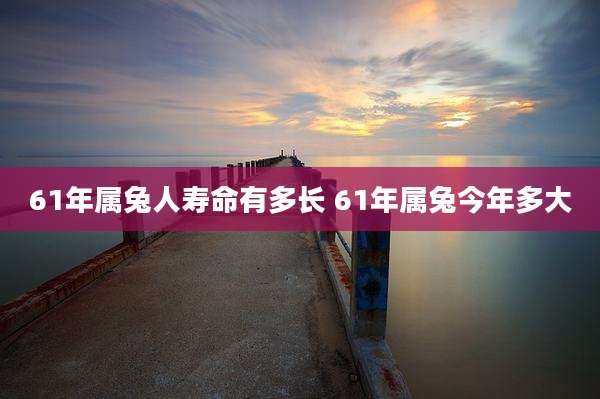 61年属兔人寿命有多长 61年属兔今年多大