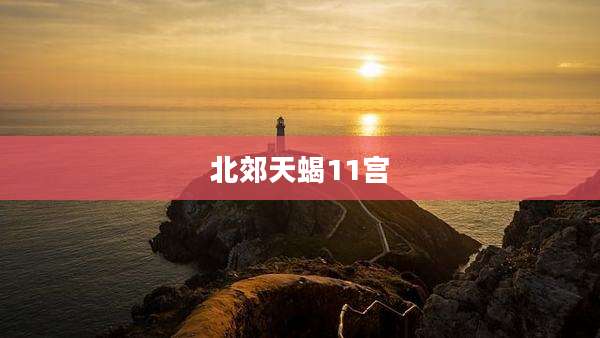 北郊天蝎11宫