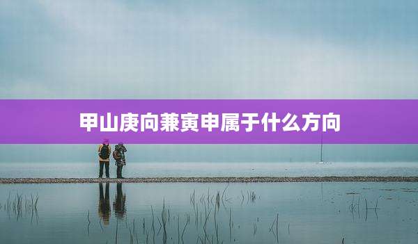甲山庚向兼寅申属于什么方向