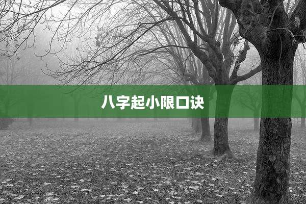 八字起小限口诀