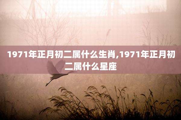 1971年正月初二属什么生肖,1971年正月初二属什么星座
