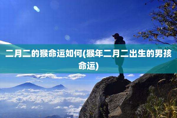 二月二的猴命运如何(猴年二月二出生的男孩命运)