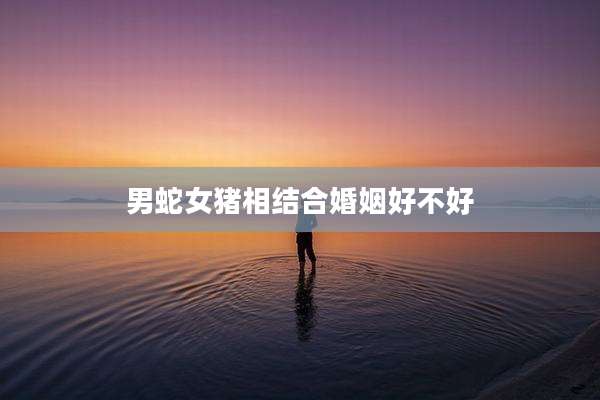 男蛇女猪相结合婚姻好不好