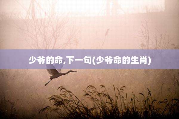少爷的命,下一句(少爷命的生肖)
