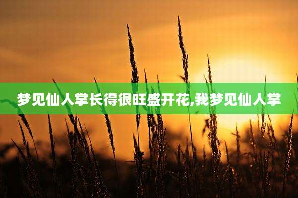 梦见仙人掌长得很旺盛开花,我梦见仙人掌